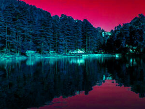 Dal Lake Mcleodganj Dharamshala Himachal Pradesh