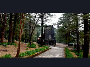 Mcleodganj Church